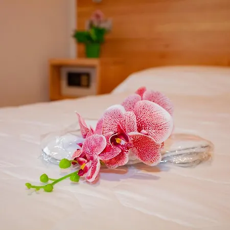 Hotel Giardino Bibbiena